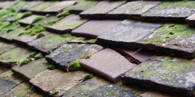 Woodchester roof repair costs